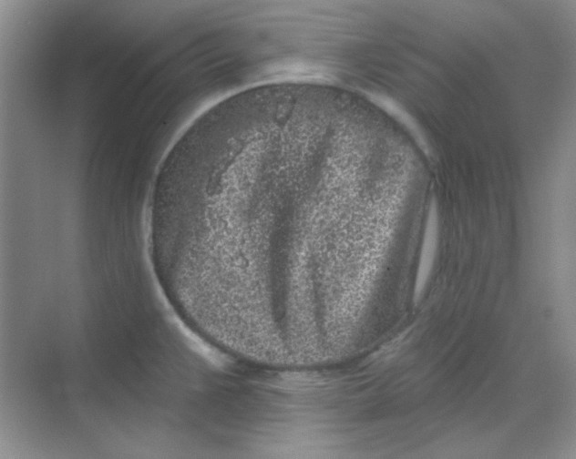 X0000068721383200605121441