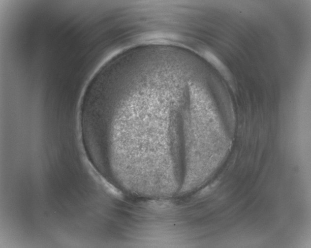 X0000068721384200605121441