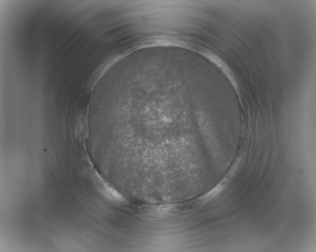 X0000068721385200605121441