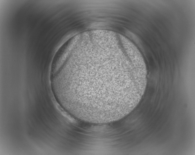 X0000068721386200605121441