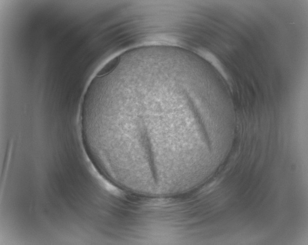 X0000068721387200605121441