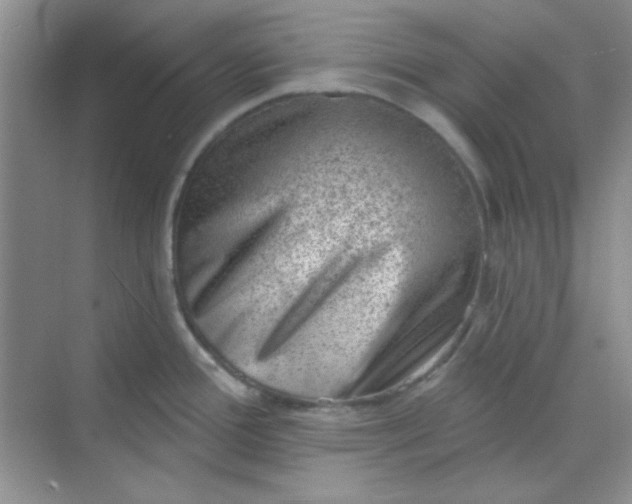 X0000068721388200605121441