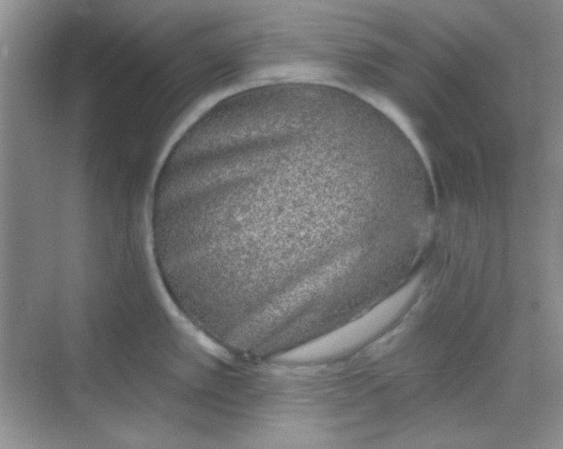 X0000068721389200605121441