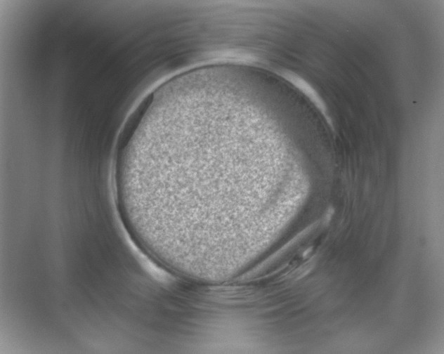 X0000068721391200605121441