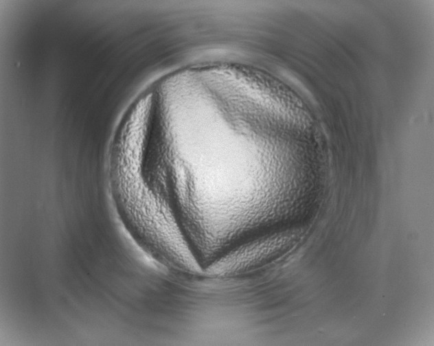 X0000068721392200605121441