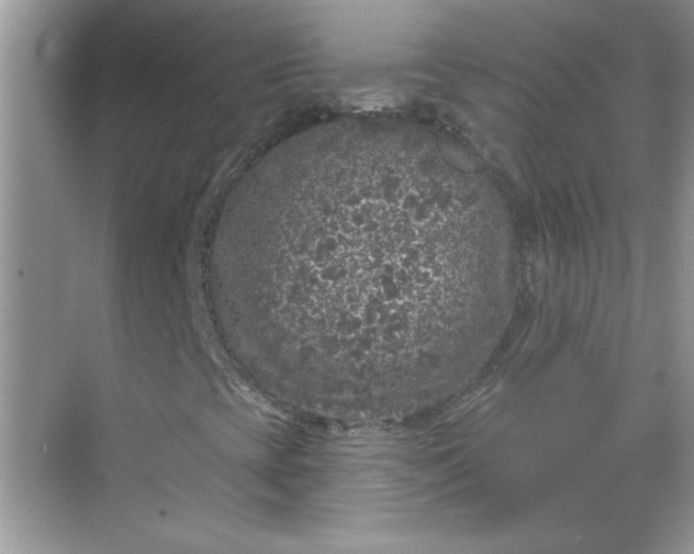 X0000068721393200605121440