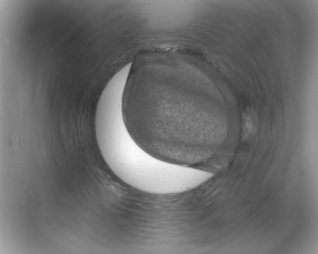 X0000068721394200605121440