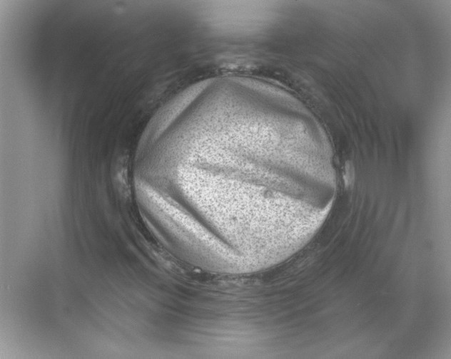 X0000068721396200605121440