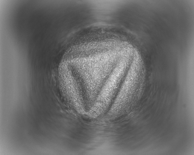 X0000068721397200605121440