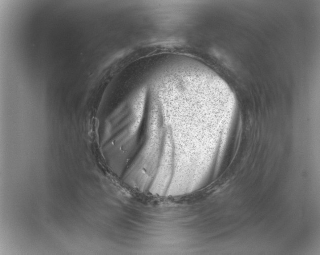 X0000068721398200605121440