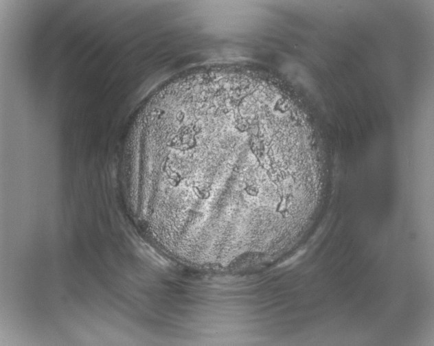 X0000068721401200605121440