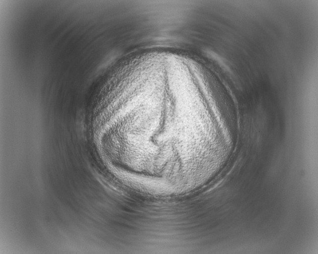 X0000068721403200605121440