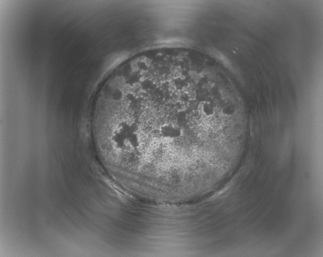 X0000068721405200605121440