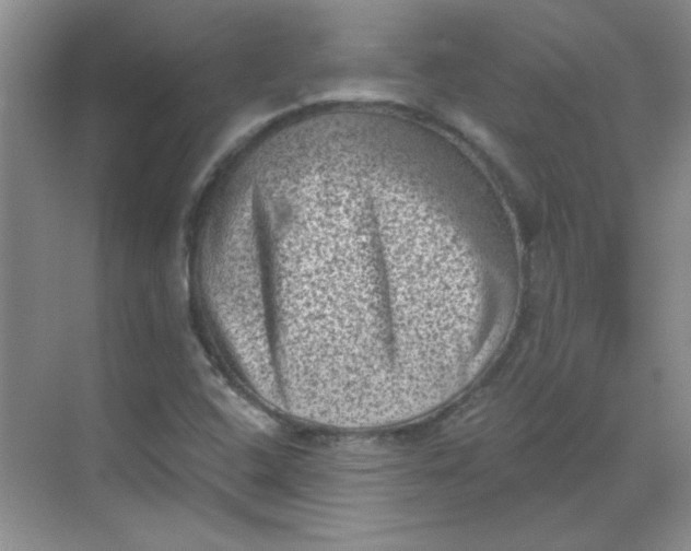 X0000068721408200605121440