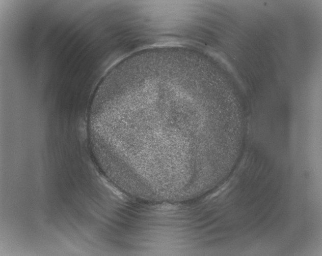 X0000068721409200605121440