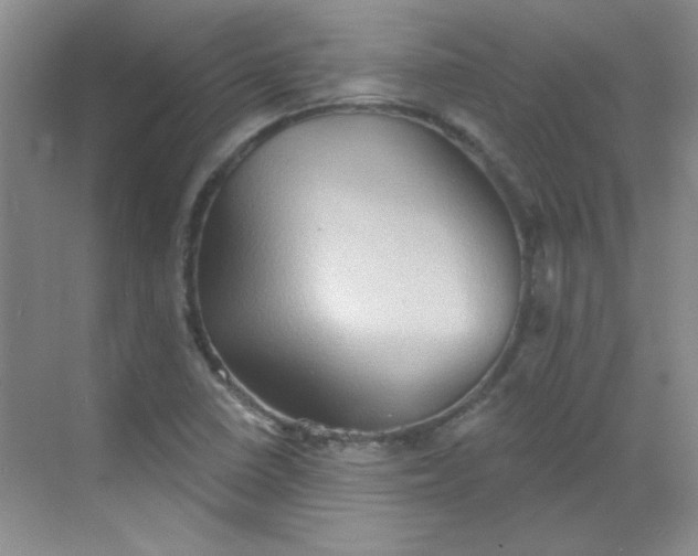 X0000068721410200605121440