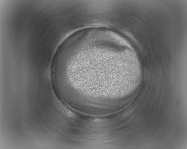 X0000068721412200605121440