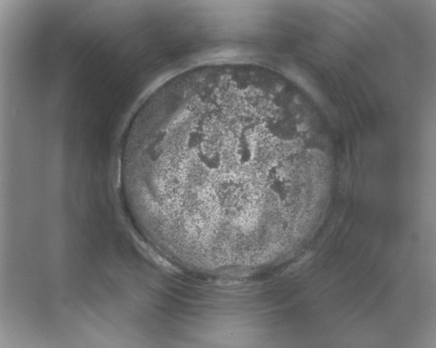 X0000068721413200605121440