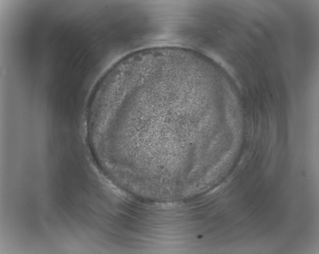 X0000068721415200605121440