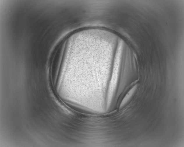 X0000068721416200605121440