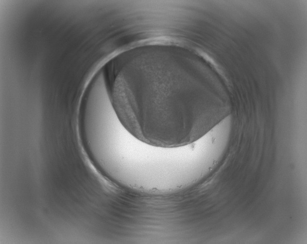 X0000068721418200605121440