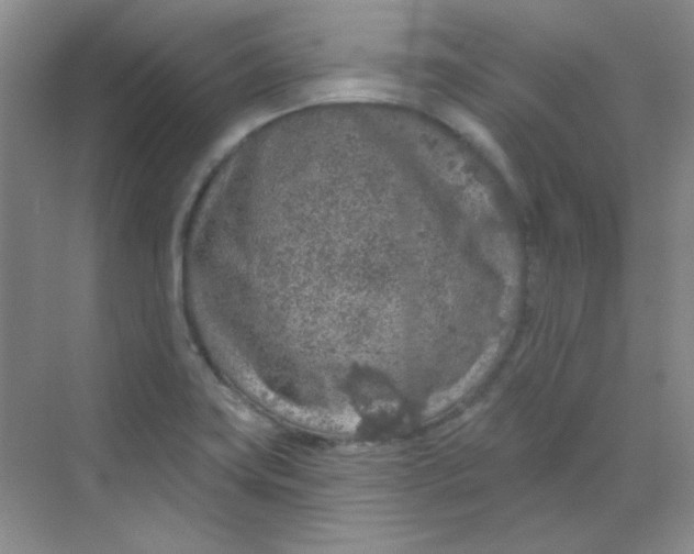 X0000068721419200605121440