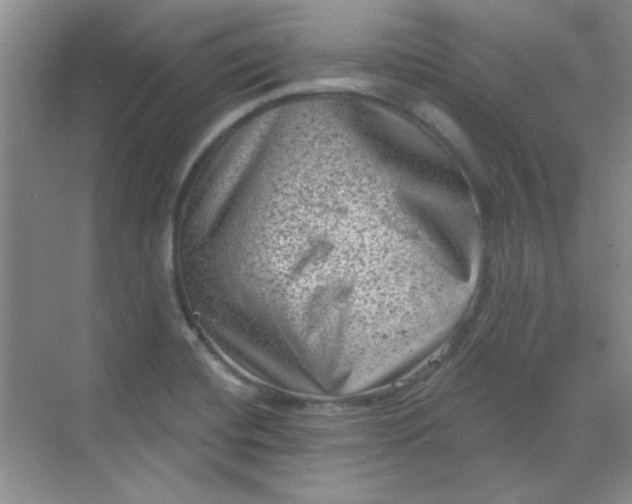 X0000068721420200605121440