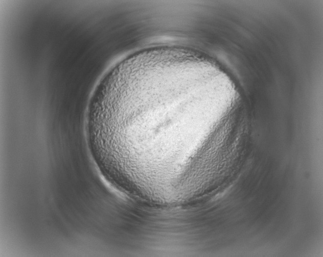 X0000068721421200605121440