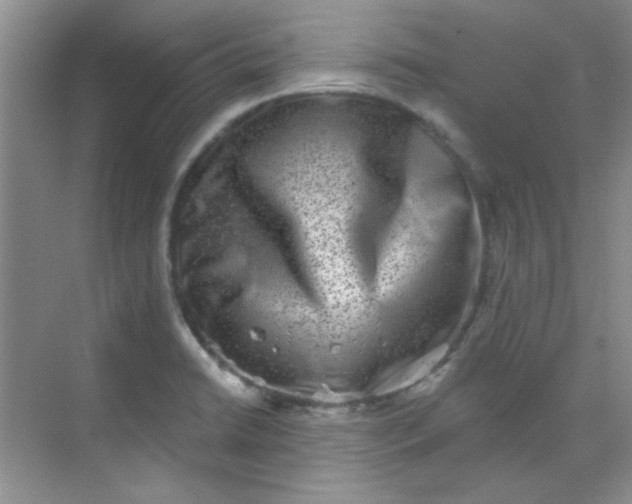 X0000068721422200605121440