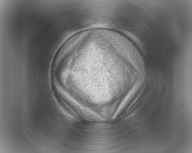 X0000068721423200605121440