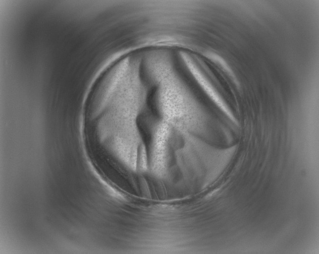 X0000068721424200605121440