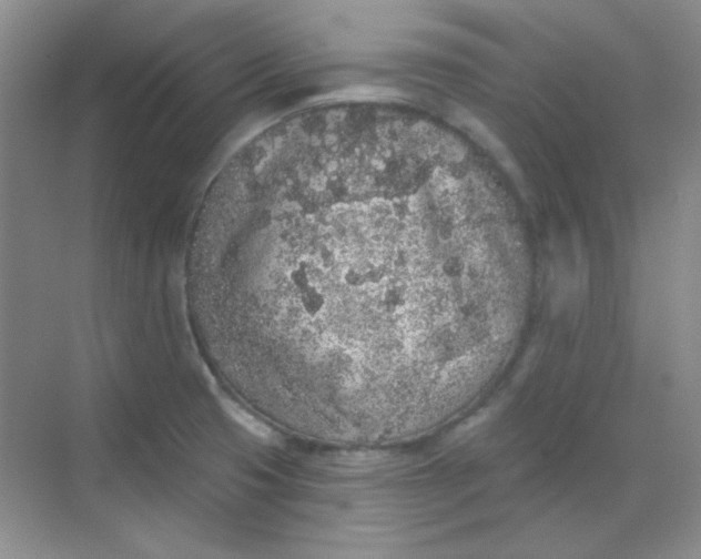 X0000068721425200605121440