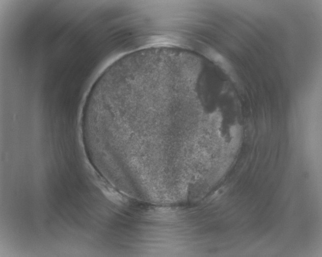 X0000068721427200605121440