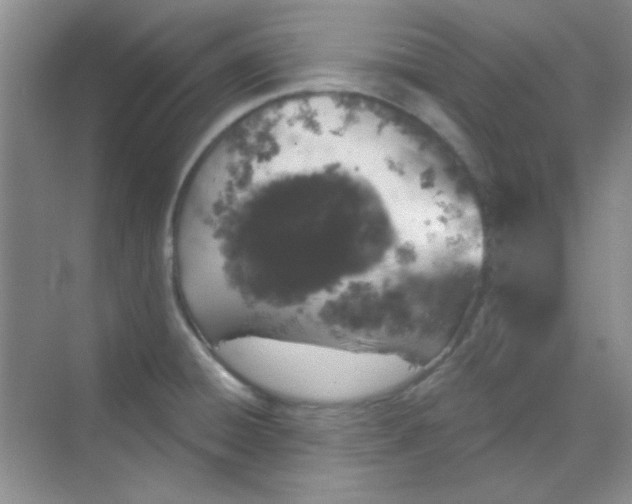 X0000068721428200605121440