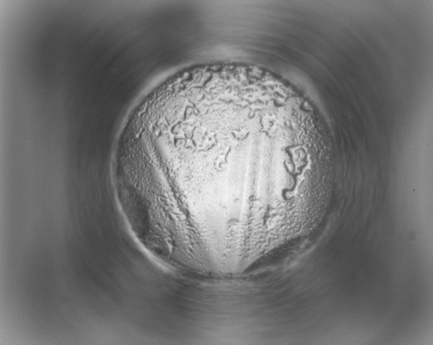 X0000068721429200605121440