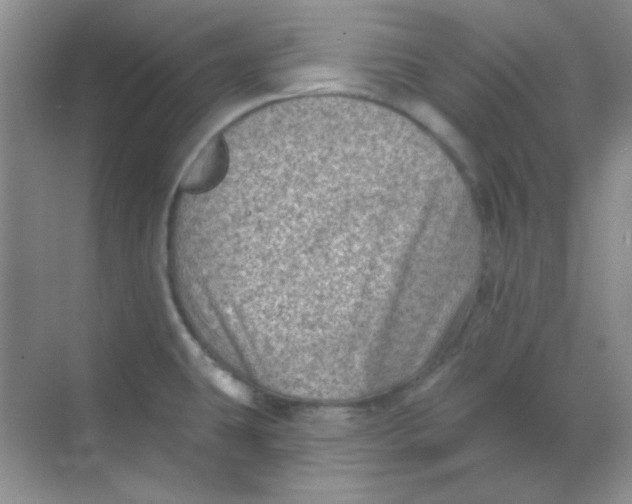 X0000068721431200605121440