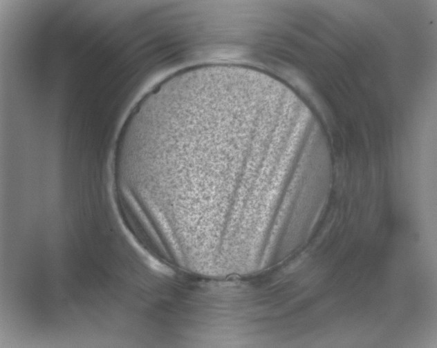 X0000068721432200605121440