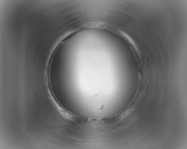 X0000068721434200605121440