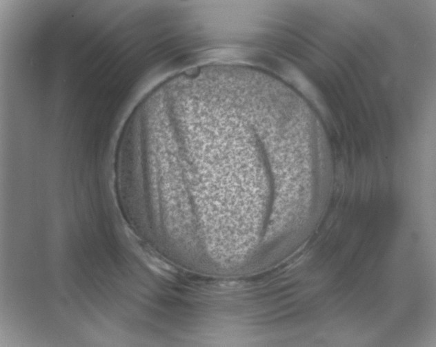 X0000068721435200605121440