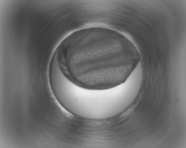 X0000068721438200605121441