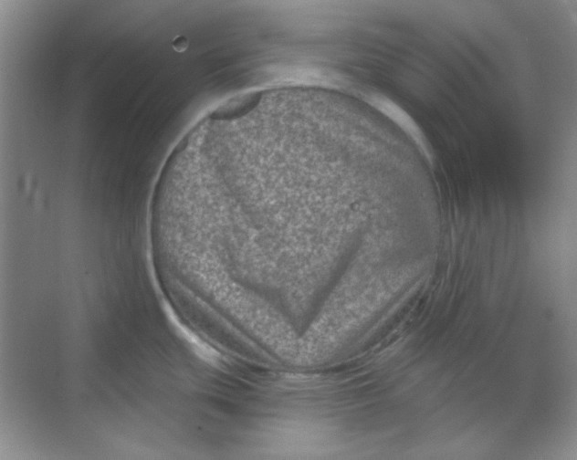 X0000068721439200605121441