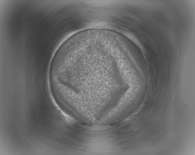 X0000068721440200605121441