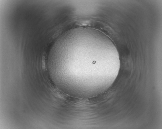 X0000068721442200605121440