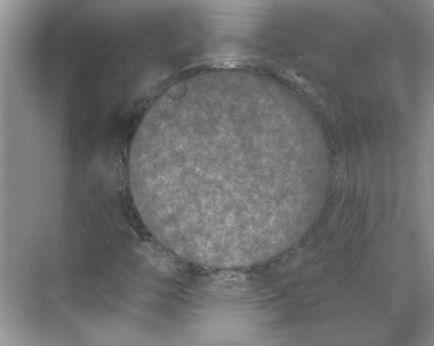 X0000068721446200605121440