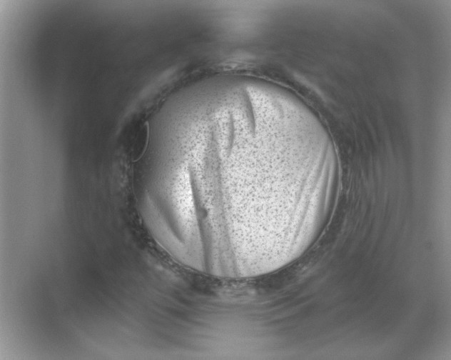 X0000068721447200605121440