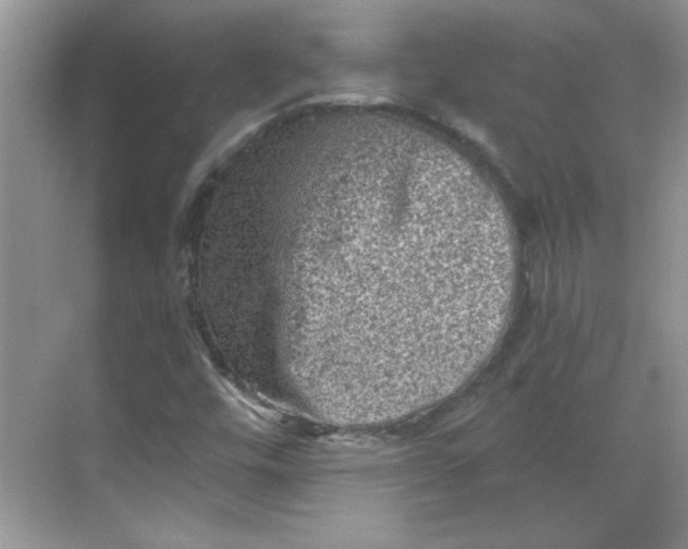 X0000068721448200605121440