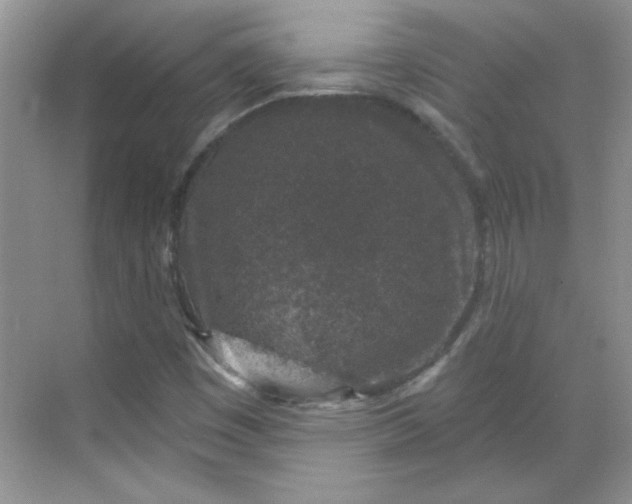 X0000068721449200605121440