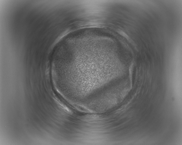 X0000068721450200605121440