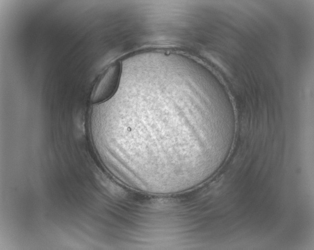 X0000068721451200605121440