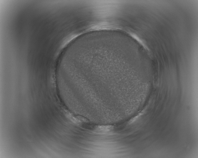 X0000068721453200605121440